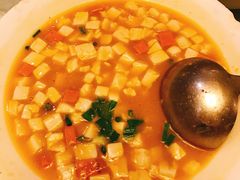 -陈麻婆豆腐总店