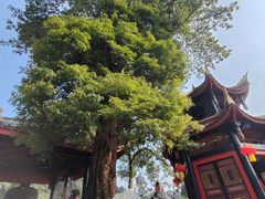 -峨眉山报国寺