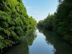 -昆山城市生态森林公园