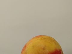 -渔舶汇蒸汽活海鲜·榴莲自助(领展中心城店)