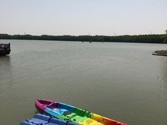 -上海海湾国家森林公园