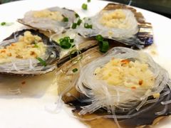 扇贝-新享乐海鲜(翠华路店)
