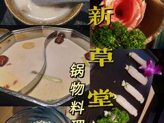 -新草堂锅物料理(泉城路店)
