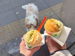 -Dip in Gelato(富民路店)