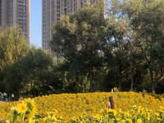 -长白岛森林公园