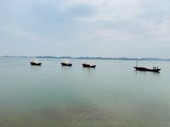 -鄱阳湖国家湿地公园