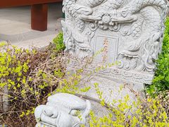 -天津妈祖文化园