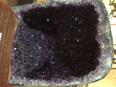 iphone_upload_pic-西安世博园