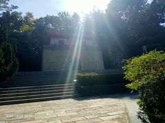 -深圳国际园林花卉博览园