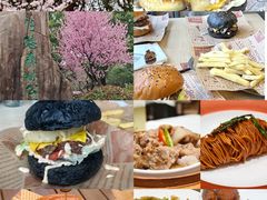 -昆山城市生态森林公园