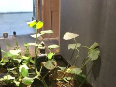 -邈墨茶馆(凤起路店)