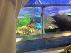 -V-ONE西雅图海鲜自助餐厅(仓山万达广场店)