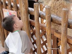 -杭州开元森泊度假乐园