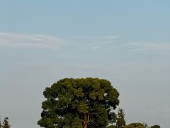 -良渚古城遗址公园