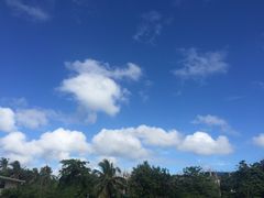 -白沙滩