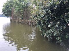 -三水森林公园