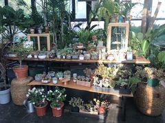 -北马山庄植趣咖啡