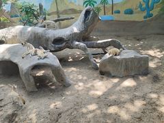 -上海野生动物园