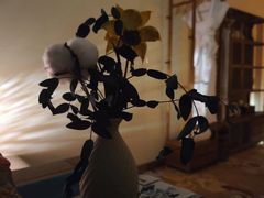 -芳朴养生按摩spa·男士