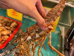 -鲜入围煮花胶鸡海鲜火锅