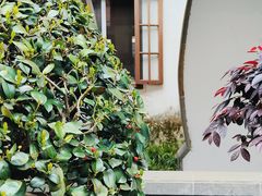 -檀园