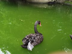 -昆明动物园