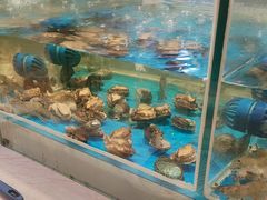-盛宴标帜西餐厅龙虾.鲍鱼•牛排(重庆喜来登大酒店)