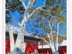 -法海禅寺