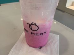 -飞行喵MR PILOT|猫舍·猫咖(静安大融城店)
