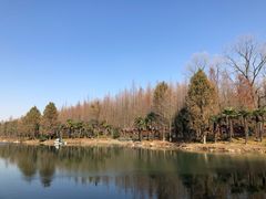 -上海怡沁园度假酒店