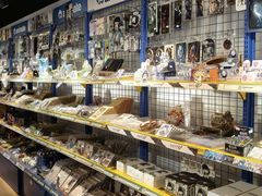 -animate(北京店)