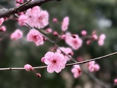 -朝阳正码头