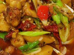 大盘鸡-马黑哥椒麻鸡(清江山水店)