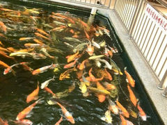 android_upload_pic-叙福楼海鲜酒家(季华西路店)