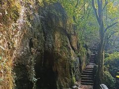 -普者黑风景区-青龙山
