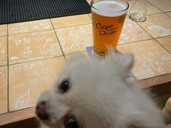 -Carpe Diem精酿空间