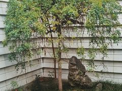 -苏州丝绸博物馆