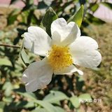 御花園位置就在正門入口右手邊