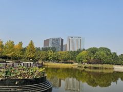-大望京公园