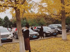 -辽宁大学(崇山校区)