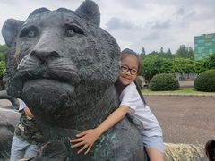 -野生动物园-停车场