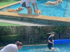 -汪说喵讲宠物乐园宠物酒店(红星美凯龙店)