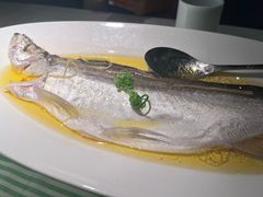 -桂满陇-南宋御街(正大广场店)