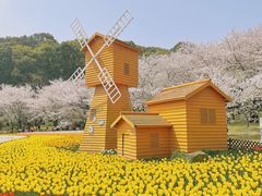 -苏州上方山国家森林公园