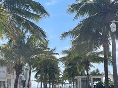 -玫瑰海岸文化旅游度假区