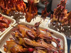-鸽子侯·家宴·平价海鲜(市图书馆店)