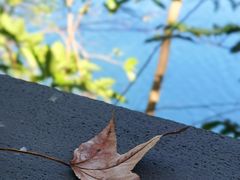 -广东温泉宾馆