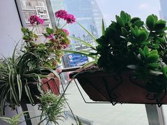 -鉴川·川菜传承(星汇两江店)