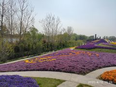 -南通洲际绿博园