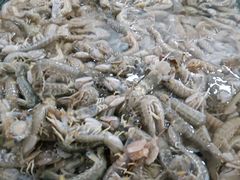 -孙家码头海鲜自助美食城